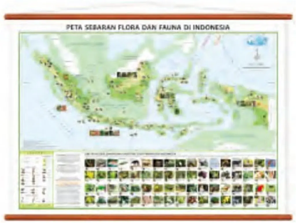 Peta Sebaran Flora Dan Fauna Di Indonesia