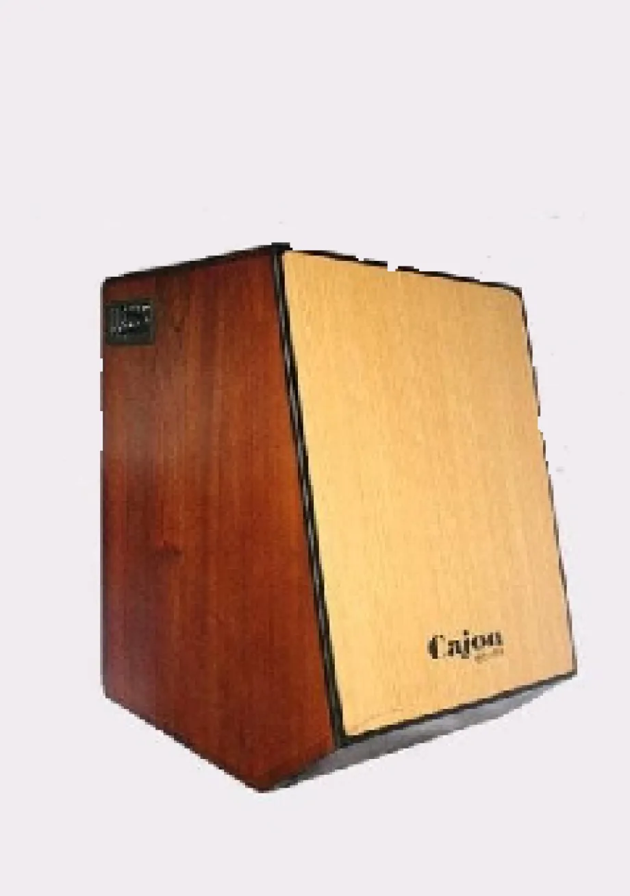 Cajon Kajon Aqustik Elektrik 1 ~item/2021/8/26/cajon__edit