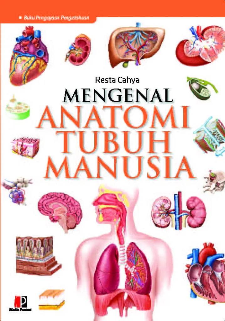 Mengenal Anatomi Tubuh Manusia