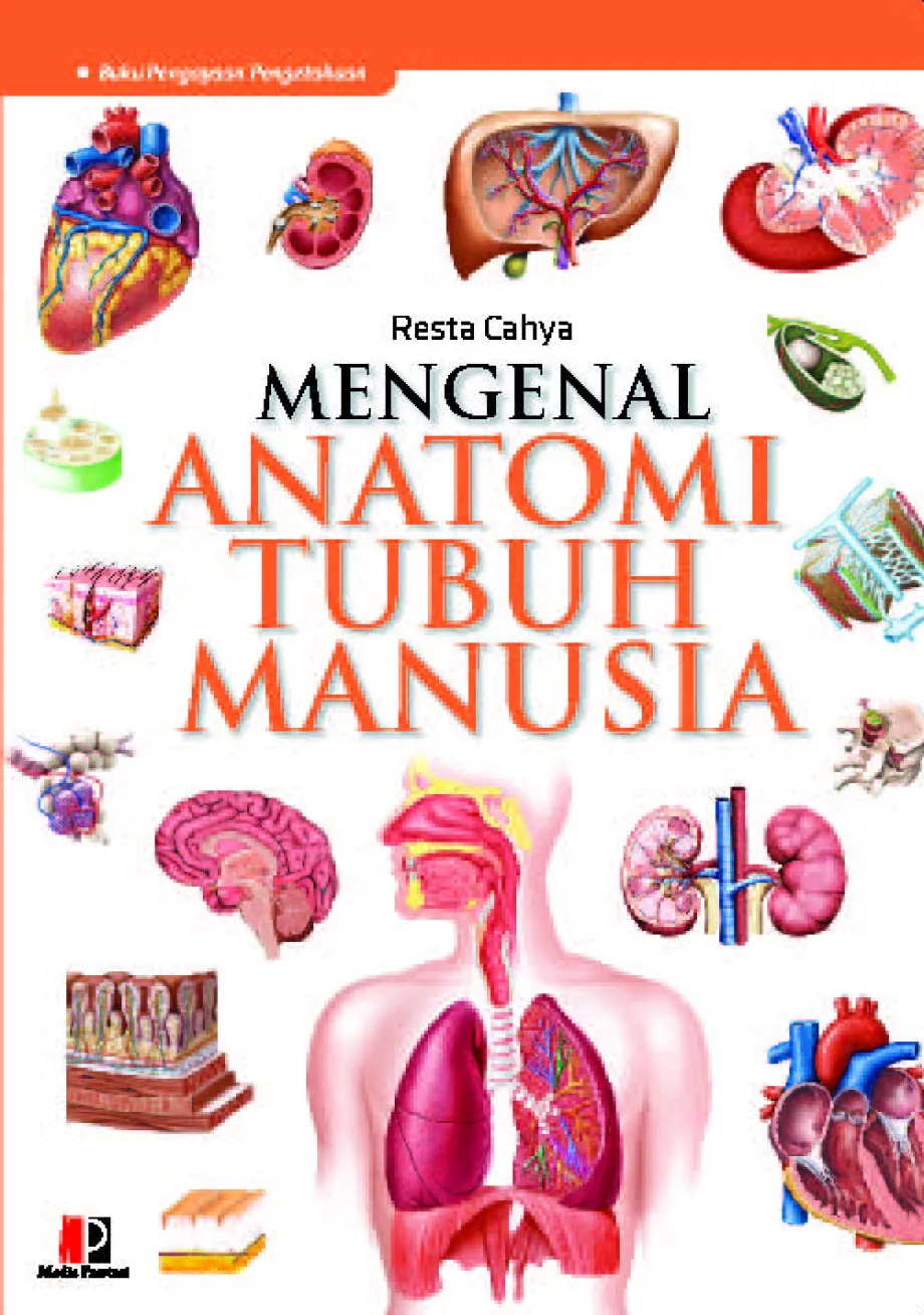 Pengetahuan Mengenal Anatomi Tubuh Manusia 1 ~item/2021/8/27/466_mengenal_anatomi_tubuh_manusia_sk