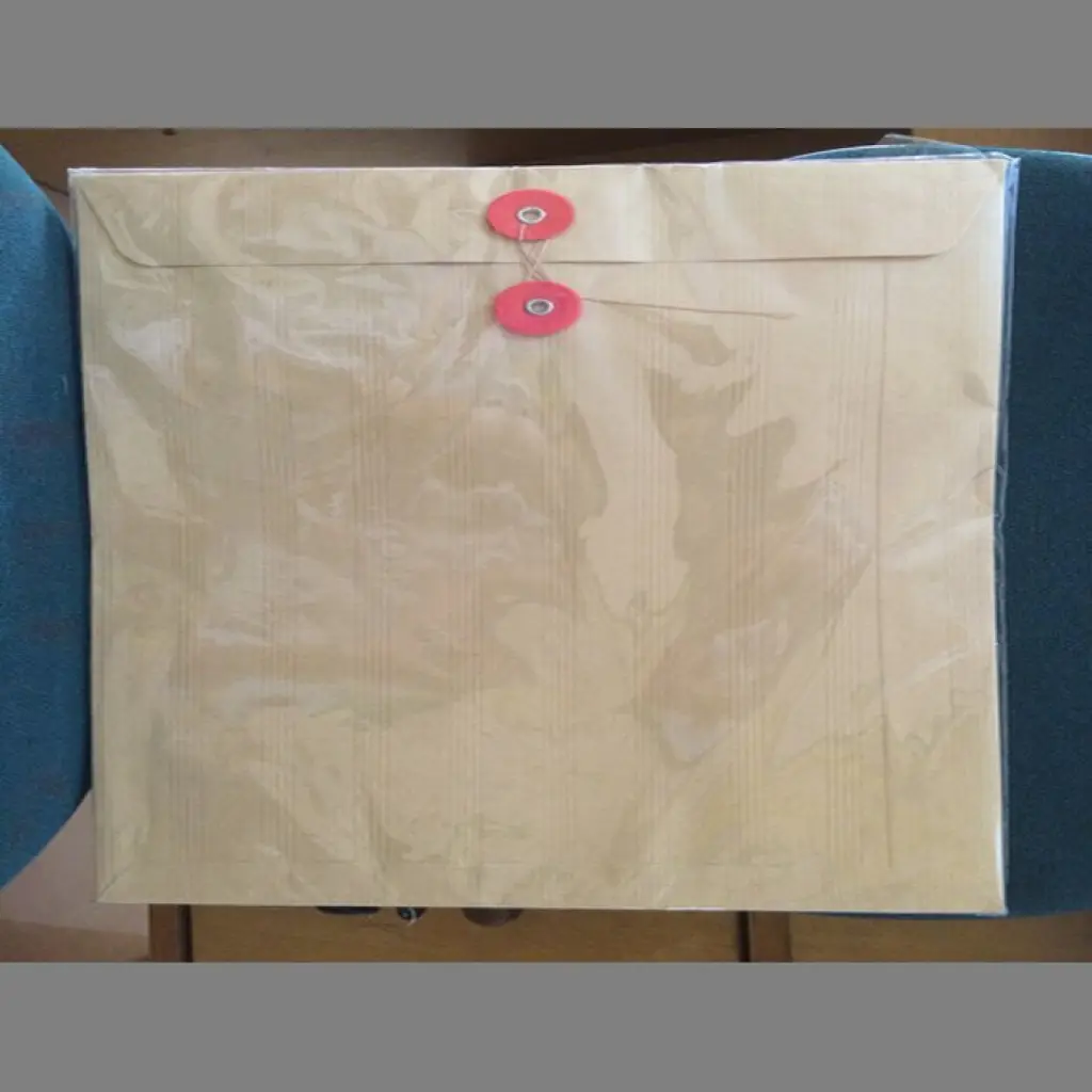 AMPLOP POLOS PAKAI TALI 309 24X30 CM