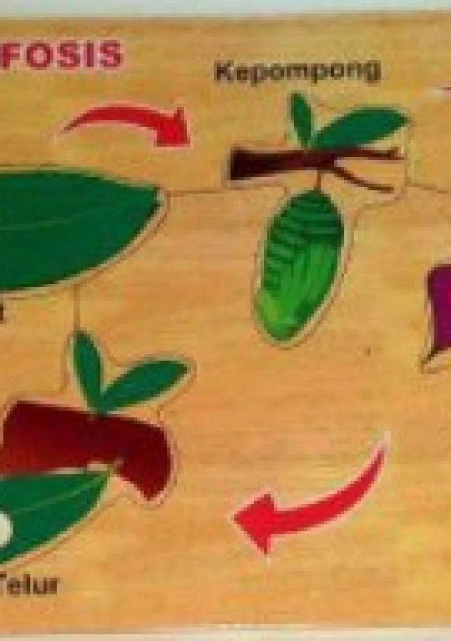 Peraga Edukasi Anak APE PUZZLE METAMORFOSIS KUPU-KUPU 1 ~item/2022/7/19/23_puzzle_metamorfosis_kupu_kupu