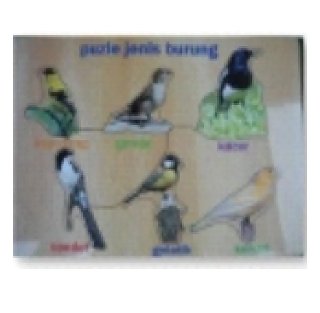 APE PUZZLE BURUNG