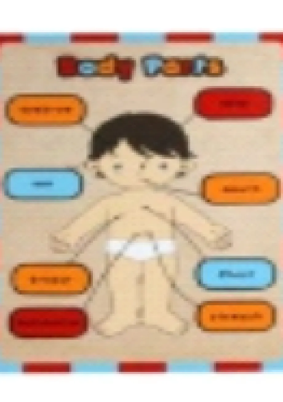 Peraga Edukasi Anak APE PUZZLE BAGIAN TUBUH 1 ~item/2022/9/16/puzzle_anggota_tubuh