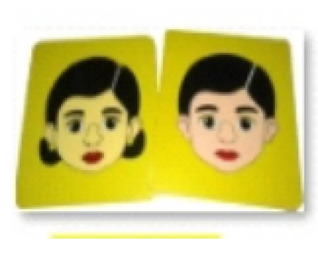 APE PUZZLE WAJAH WANITA