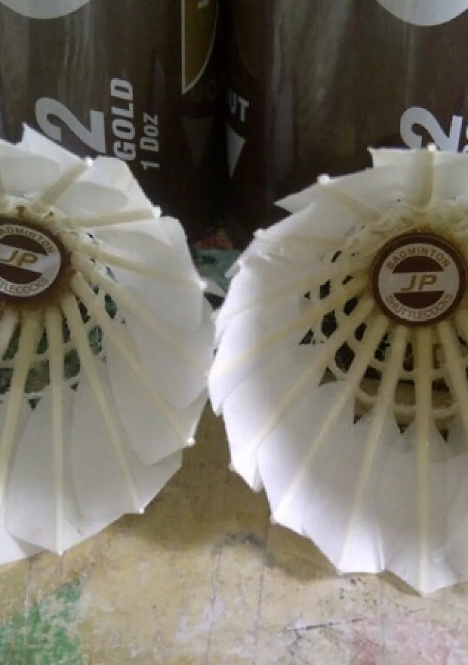 Shuttlecock SHUTTLE COCK 1 ~item/2024/3/15/shutlecock