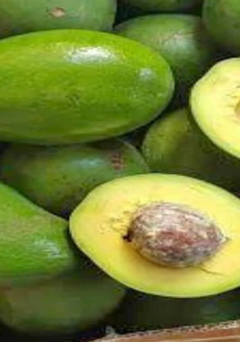 Buah-buahan Buah Alpukat 1 ~item/2024/5/30/buah_alpukat