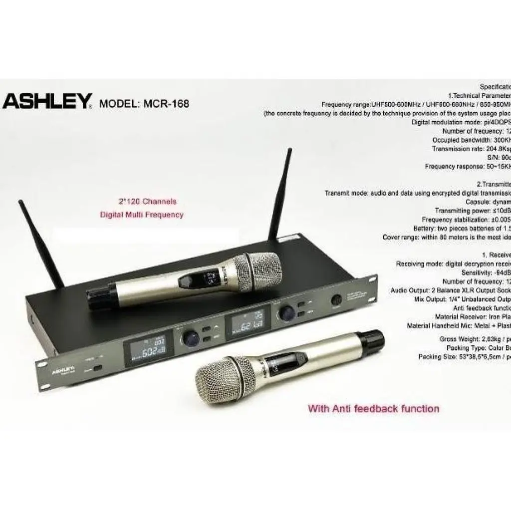 Ashley Mic Wireless 2 Mic