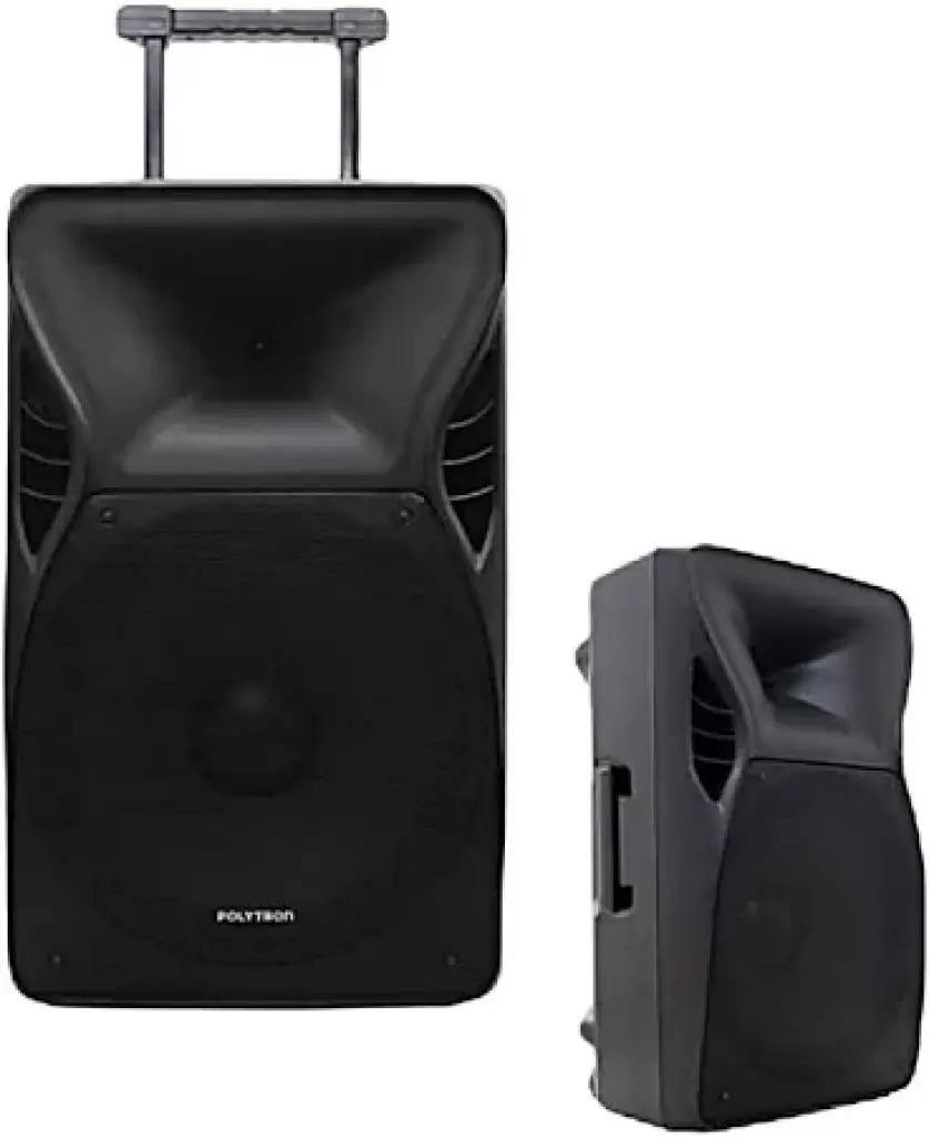 Speaker Polytron PAS PRO15F5