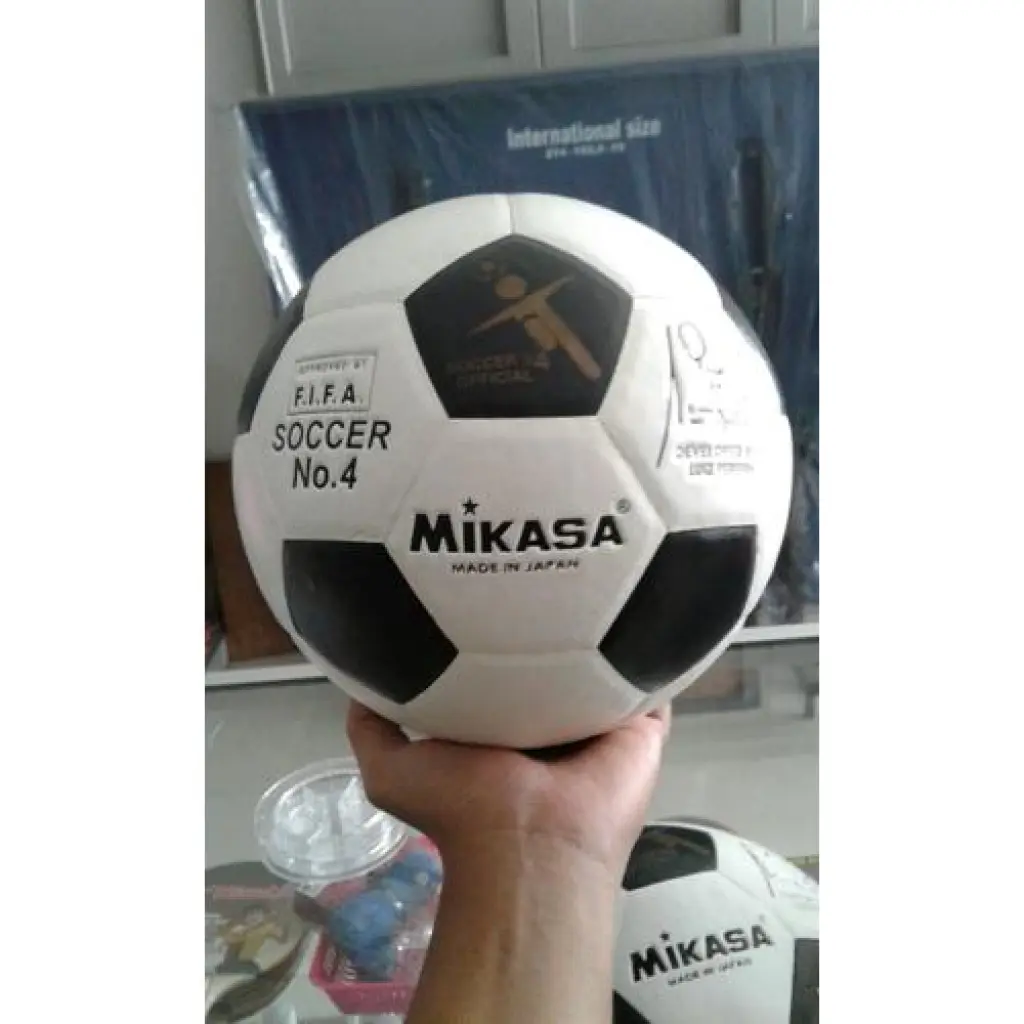 Bola Mikasa